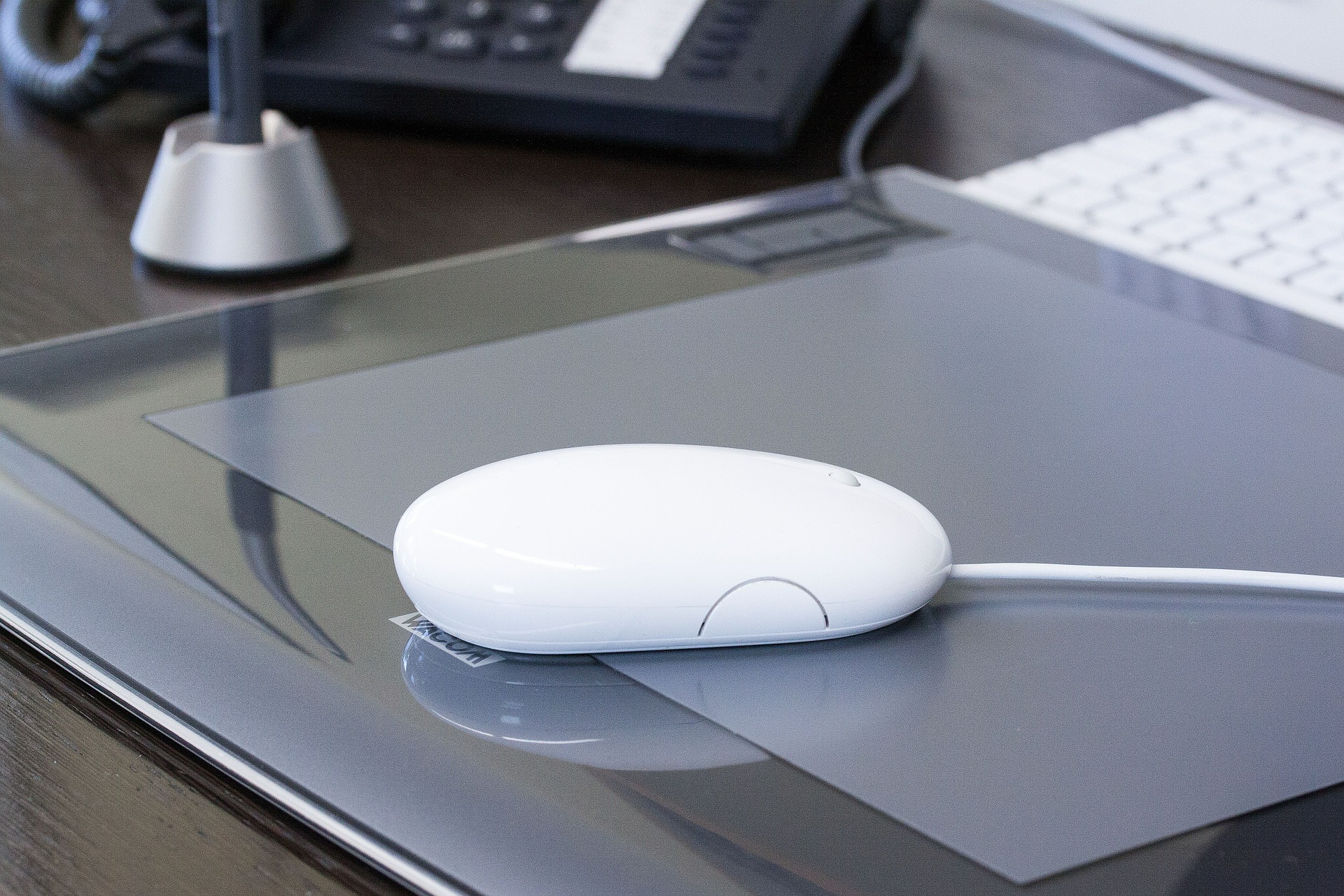 1620697222328545.jpg mouse-396714_1920.jpg