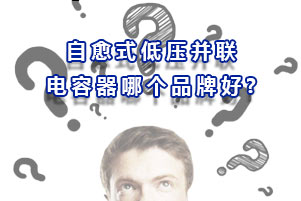 自愈式低壓并聯(lián)電容器哪個品牌好?