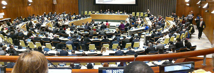 聯合國新能源和可再生能源會議 聯合國新能源和可再生能源會議