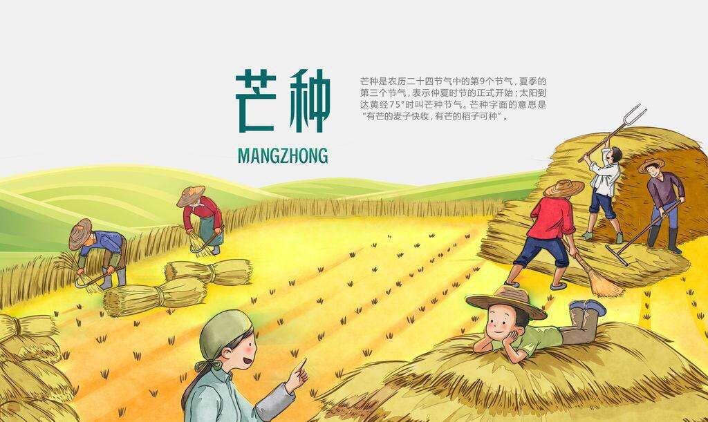 芒種 芒種